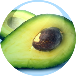 Avocado Oil