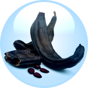 Carob Tree Seed Extract