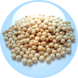 Lecithin