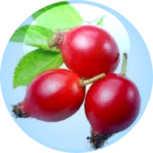 Rosehip Fruit Oil